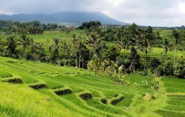 Geschützt: 03.10.2018 bis 20.10.2019 – Bali & Singapur 1/3